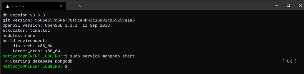 Запуск MongoDB в Ubuntu через WSL
