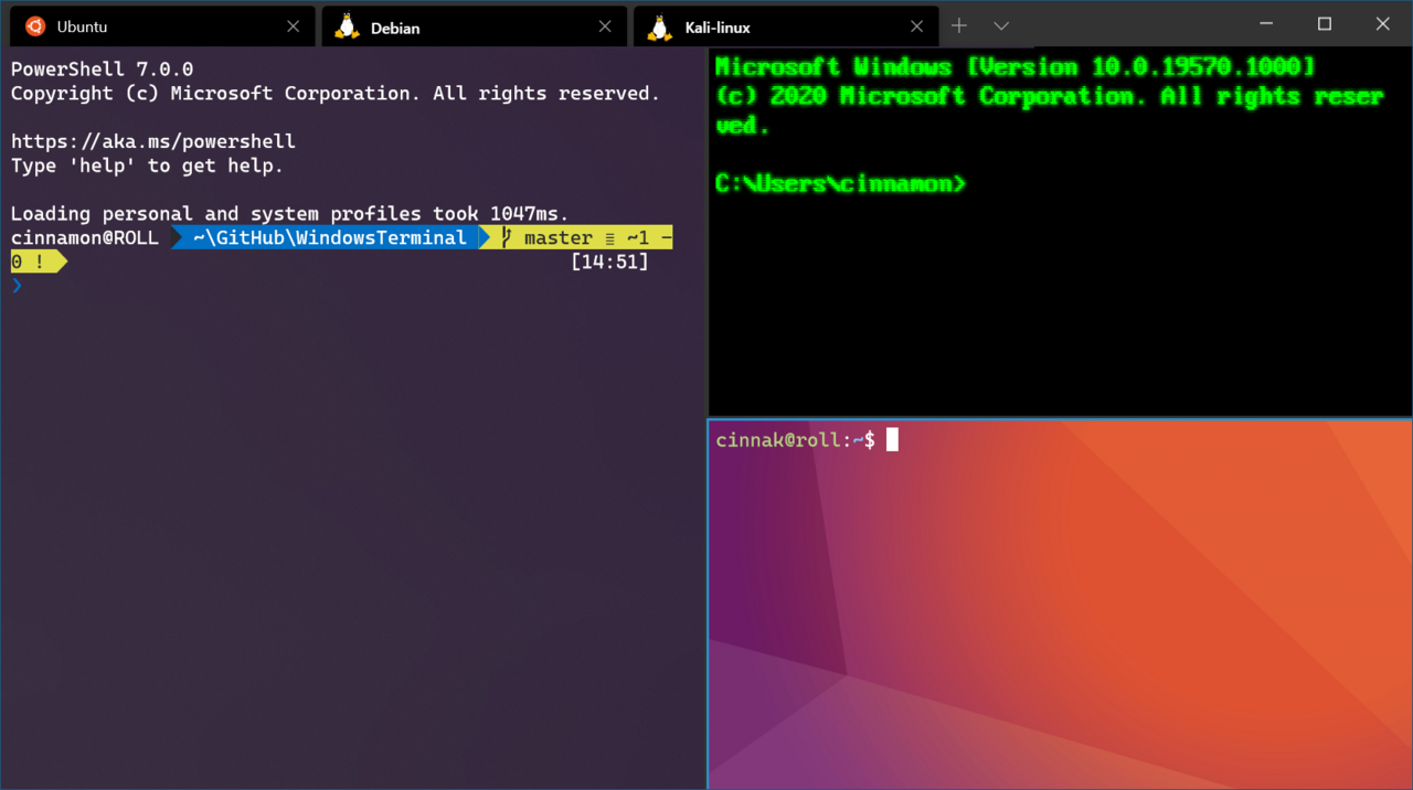 Скриншот терминала Windows